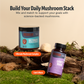 Organic Lion’s Mane Capsules