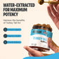 Organic Turkey Tail Mushroom Powder